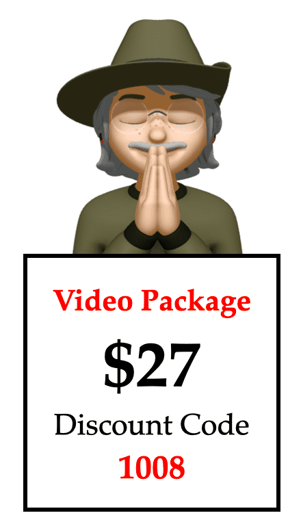 Simple Graphic Video 1008 $27
